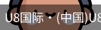 U8国际